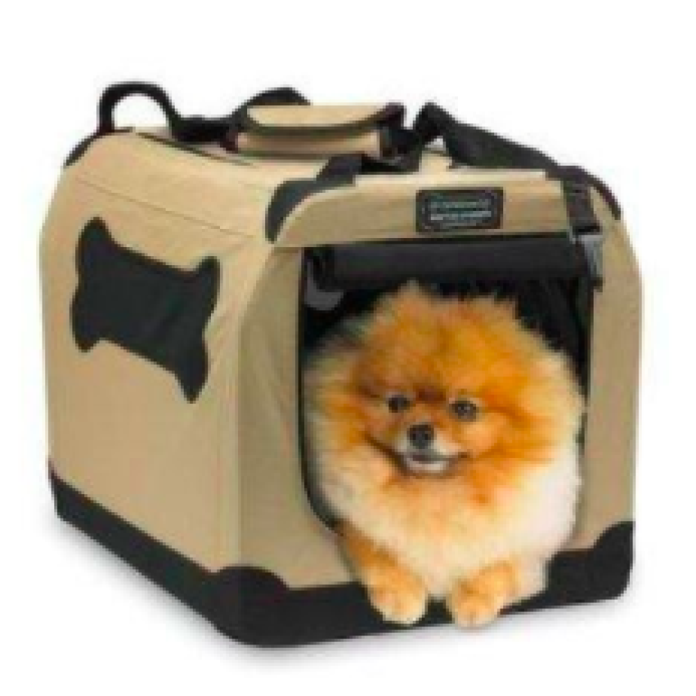 PET1